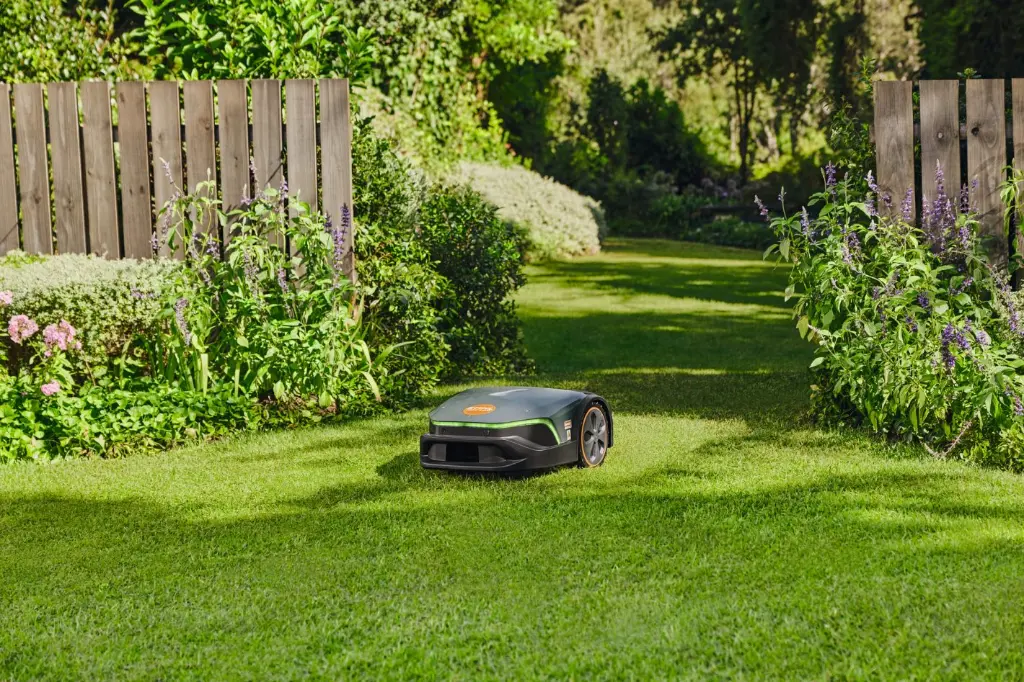 img (19).webp