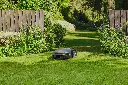 img (19).webp